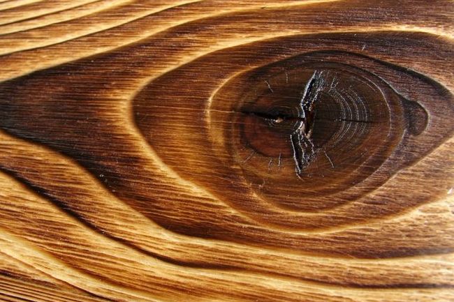 Какая бывает древесина